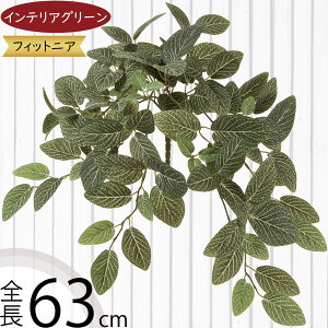 tFCNO[  lC CeAO[ A lHϗtA  lH A[gvc A[gO[ ϗtA ChAO[ CeA G IuWF ԍ t 