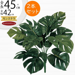 tFCNO[ Xe ϗtA lC  A CeAO[  lHϗtA lH t IuWF A[gO[ t[AWg ԍ t {