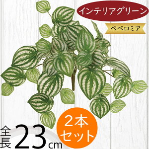 tFCNO[ lC  A ϗtA CeAO[ lHϗtA  A[gO[ lH ԍ t CeA IuWF t[AWg fBXvC yy