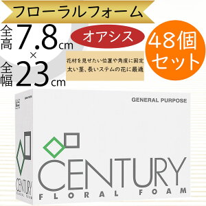 IAVX X|W z  lC  ԗp tH[ Z`[ ubN t[tH[ t[   t[AWg s Xe ԍ  y