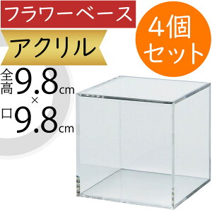 t[x[X  Ԋ lC CeA IuWF  ԓ Ƌ Mtg v[g 蕨  IV t[AWg fBXvC  AN y y 