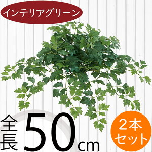 tFCNO[  lC CeAO[ A lHϗtA  lH A[gvc A[gO[ ϗtA ChAO[ CeA IuWF ԍ t  t