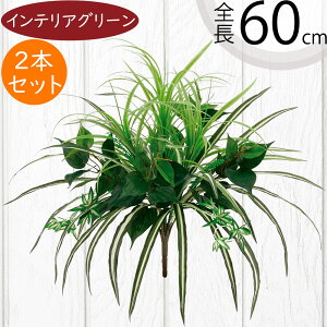 tFCNO[  lC CeAO[ A lHϗtA  lH A[gvc A[gO[ ϗtA ChAO[ CeA IuWF  ԍ  t