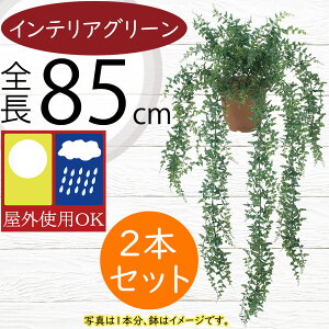 tFCNO[ Op ^ 傫 傫  lC CeAO[ A ϗtA  A[gvc CeA lHϗtA  IuWF t[AWg f