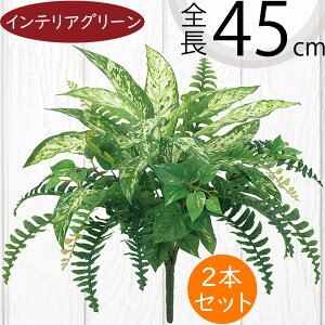 tFCNO[ lC  A ϗtA CeAO[ lHϗtA  A[gO[ lH ԍ t CeA IuWF t[AWg fBXvC 