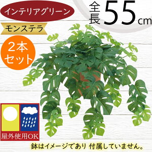 tFCNO[ Xe Op ϗtA lC  A CeAO[  lHϗtA lH t IuWF A[gO[ t[AWg t {