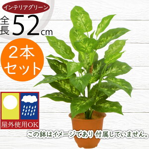 tFCNO[ Op ϗtA  CeAO[ A lC  fBtFoLA lHϗtA  lH CeA IuWF OΉ O ˊO  AE