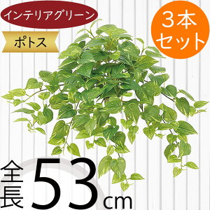 tFCNO[ |gX  lC CeAO[ A lHϗtA  lH A[gvc A[gO[ ϗtA ChAO[ CeA IuWF ԍ t