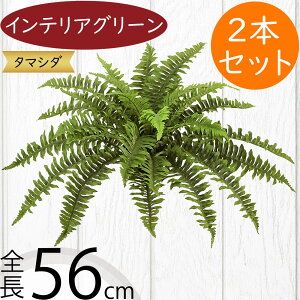 tFCNO[  lC CeAO[ A lHϗtA  lH A[gvc A[gO[ ϗtA ChAO[ CeA IuWF  ԍ t 