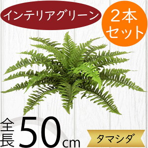 tFCNO[  lC CeAO[ A lHϗtA  lH A[gvc A[gO[ ϗtA ChAO[ CeA IuWF  ԍ t 