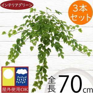 tFCNO[ Op  lC CeAO[ A ϗtA  A[gvc CeA lHϗtA  IuWF t[AWg fBXvC  