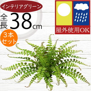 tFCNO[ Op  lC CeAO[ A ϗtA  A[gvc CeA lHϗtA lH } IuWF t[AWg fBXvC 