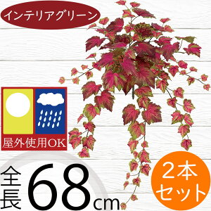 tFCNO[ Op  lC CeAO[ A ϗtA  A[gvc lHϗtA  IuWF t[AWg fBXvC   oRj[