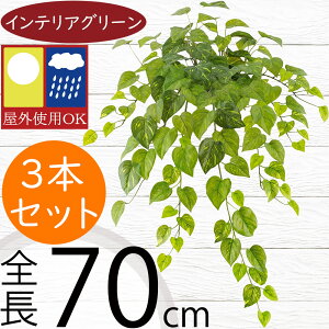 tFCNO[ Op |gX ^ CeAO[  lC A lHϗtA  A[gvc   oRj[ t@T[h x_ eX iσfUC O