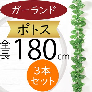 K[h  lC  tFCNO[ CeAO[ lHϗtA  A[eBtBVt[ A fR[V fBXvC t ǖʑ V t