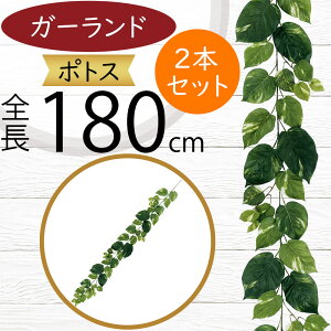 K[h  lC  tFCNO[ CeAO[ lHϗtA  A[eBtBVt[ A fR[V fBXvC t ǖʑ V t