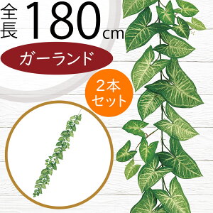 K[h  lC  A tFCNO[ CeAO[ lHϗtA  A[eBtBVt[ fR[V fBXvC t ǖʑ V t