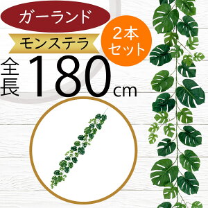 tFCNO[ K[h Xe ϗtA lC  A CeAO[ c^    lHϗtA t IuWF A[gO[ t[AWg {