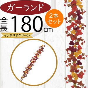 K[h  lC  tFCNO[ CeAO[ lHϗtA  A[eBtBVt[ A fR[V fBXvC t ǖʑ V t