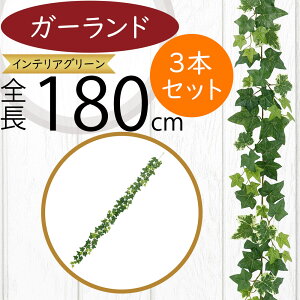 K[h  lC  tFCNO[ CeAO[ lHϗtA  A[eBtBVt[ A fR[V fBXvC t ǖʑ V t