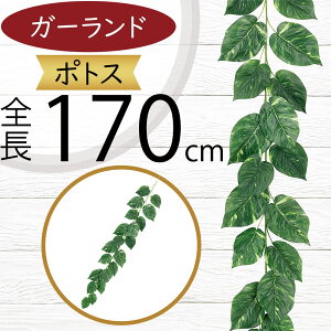 K[h  lC  tFCNO[ CeAO[ lHϗtA  A[eBtBVt[ A fR[V fBXvC t ǖʑ V t