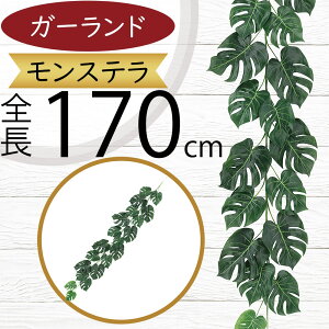 tFCNO[ K[h Xe ϗtA lC  A CeAO[ c^    lHϗtA t IuWF A[gO[ t[AWg {