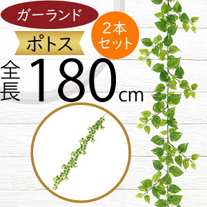 K[h  lC  tFCNO[ CeAO[ lHϗtA  A[eBtBVt[ A fR[V fBXvC t ǖʑ V t