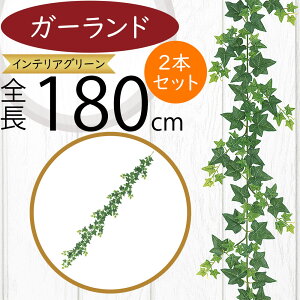 K[h  lC  tFCNO[ CeAO[ lHϗtA  A[eBtBVt[ A fR[V fBXvC t ǖʑ V t