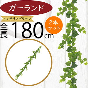 K[h  lC  tFCNO[ CeAO[ lHϗtA  A[eBtBVt[ A fR[V fBXvC t ǖʑ V  