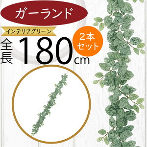 K[h  lC  tFCNO[ CeAO[ lHϗt  A[eBtBVt[ t A  fR[V fBXvC t ǖʑ t