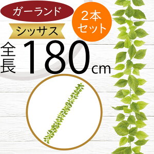 K[h  lC  tFCNO[ CeAO[ lHϗt  A[eBtBVt[ t A  fR[V fBXvC t ǖʑ t