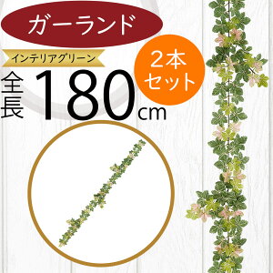 K[h  lC  tFCNO[ CeAO[ lHϗt  A[eBtBVt[ t A  fR[V fBXvC t ǖʑ t