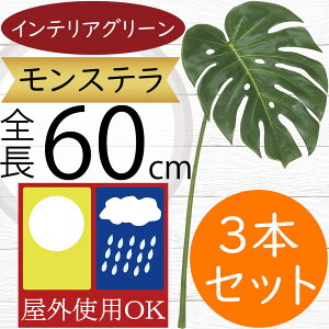 tFCNO[ Xe Op ϗtA lC  A CeAO[  lHϗtA lH t IuWF A[gO[ t[AWg t {