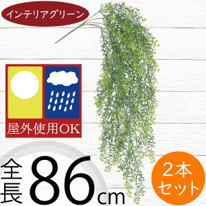 tFCNO[ Op CeAO[  lC A lHϗtA  A[gvc  t  oRj[ t@T[h x_ eX iσfUC OΉ  