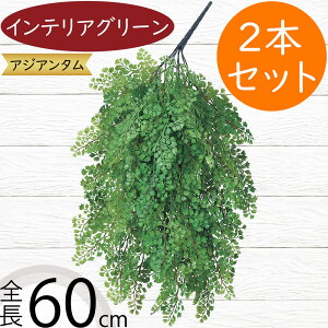 tFCNO[  lC  CeAO[ A AWA^  t[AWg fBXvC IuWF lHϗtA lH A[gO[ } ԍ 