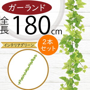 K[h  lC  tFCNO[ CeAO[ lHϗtA  A[eBtBVt[ A fR[V fBXvC t ǖʑ V t