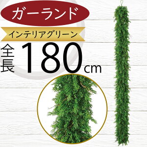 K[h  lC   XM V_[ tFCNO[ CeAO[ lHϗt  A[eBtBVt[ t A  fR[V fBXvC 