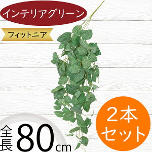 tFCNO[ ^  lC CeAO[ A lHϗtA  lH A[gvc A[gO[ ϗtA ChAO[ CeA G IuWF t t