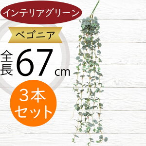 xSjA bNX tFCNO[  lC A  CeAO[ lHϗtA  lH ϗtA CeA IuWF A[gO[ t[AW