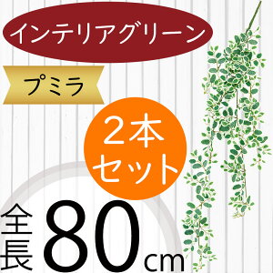 tFCNO[ v~  lC CeAO[ A lHϗtA  lH A[gvc A[gO[ ϗtA ChAO[ CeA G Ƌ IuWF