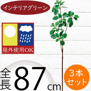 tFCNO[ Op ^ CeAO[  lC A lHϗtA  A[gvc A[gO[   oRj[ t@T[h x_ eX OΉ 