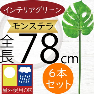 tFCNO[ Xe Op ϗtA lC  A CeAO[  lHϗtA lH t IuWF A[gO[ t[AWg t {