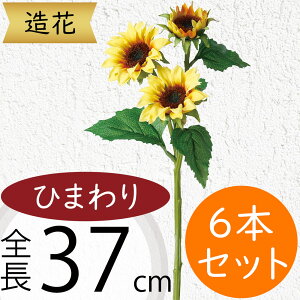 Ђ܂   lC  A q}  Tt[ t[AWg fBXvC A[eBtBVt[ ԍ  CeA A[gt[ lH