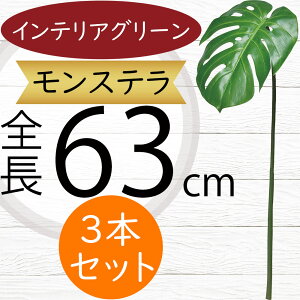 tFCNO[ Xe ϗtA lC  A CeAO[  lHϗtA lH t  IuWF A[gO[ t[AWg ԍ t {