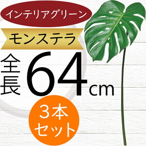 tFCNO[ Xe ϗtA lC  A CeAO[  lHϗtA lH t IuWF A[gO[ t[AWg ԍ t {