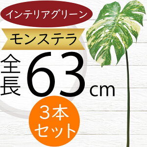 tFCNO[ Xe  ϗtA lC  A CeAO[  lHϗtA lH t IuWF A[gO[ t[AWg t {