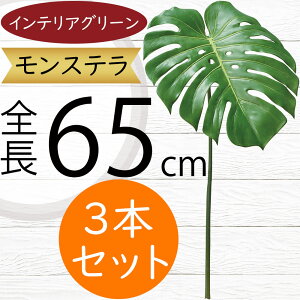 tFCNO[ Xe ϗtA lC  A CeAO[  lHϗtA lH t  IuWF A[gO[ t[AWg ԍ t {