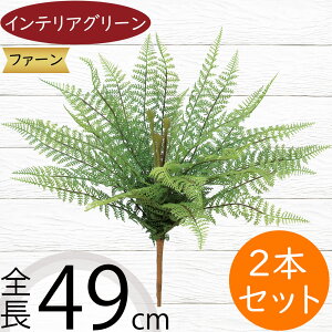 ^}V_ tFCNO[  CeAO[ A lHϗtA ϗtA  A[eBtBVt[ t ԍ ʃV_ ltsX t[AWg fBXv