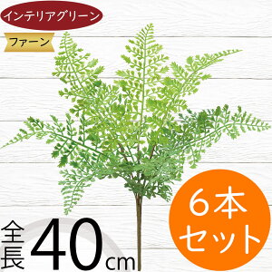 ^}V_ tFCNO[  CeAO[ A lHϗtA ϗtA  A[eBtBVt[ t ԍ ʃV_ ltsX t[AWg fBXv