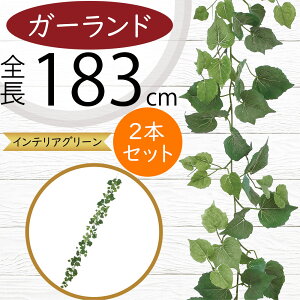 K[h  lC  tFCNO[ CeAO[ lHϗtA  A[eBtBVt[ A fR[V fBXvC t ǖʑ V t